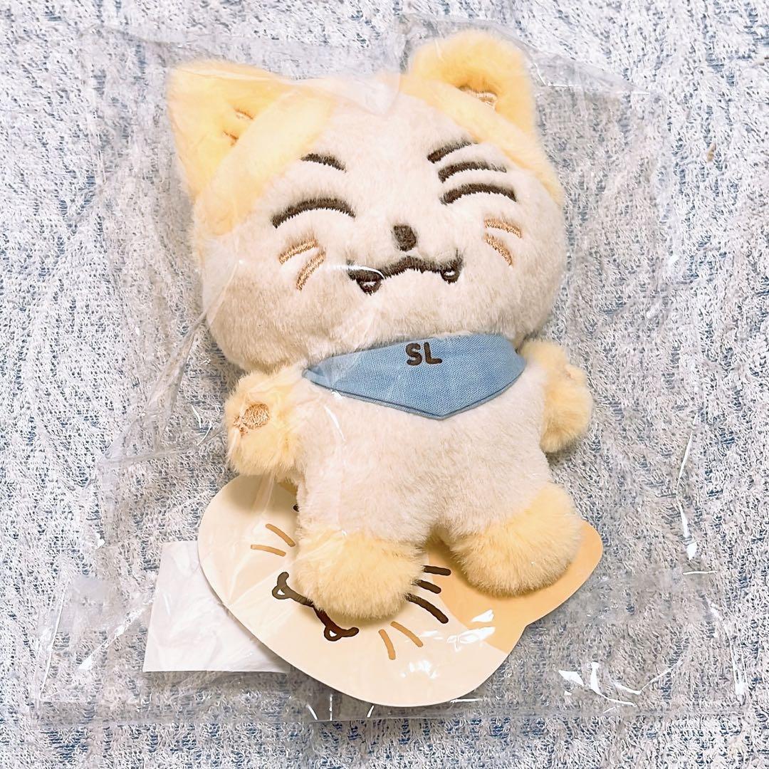 

[USED] BTOB X B BE FRIENDS Pop-up Eunkwang Plush Toy