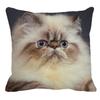Persian Cat Linen Pattern Double-sided Printed Pillow Cover Short Plush Suitable Living Rooms Bedrooms Sofas Throw Cushion Cover