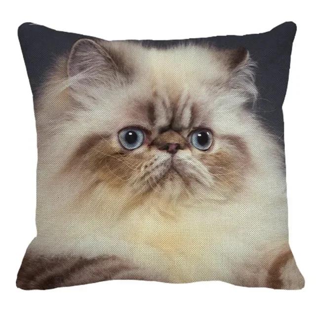 Persian Cat Linen Pattern Double-sided Printed Pillow Cover Short Plush Suitable Living Rooms Bedrooms Sofas Throw Cushion Cover