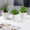 Artificial Succulent Bonsai Decor - Green Plastic Flowers for Living Room Table