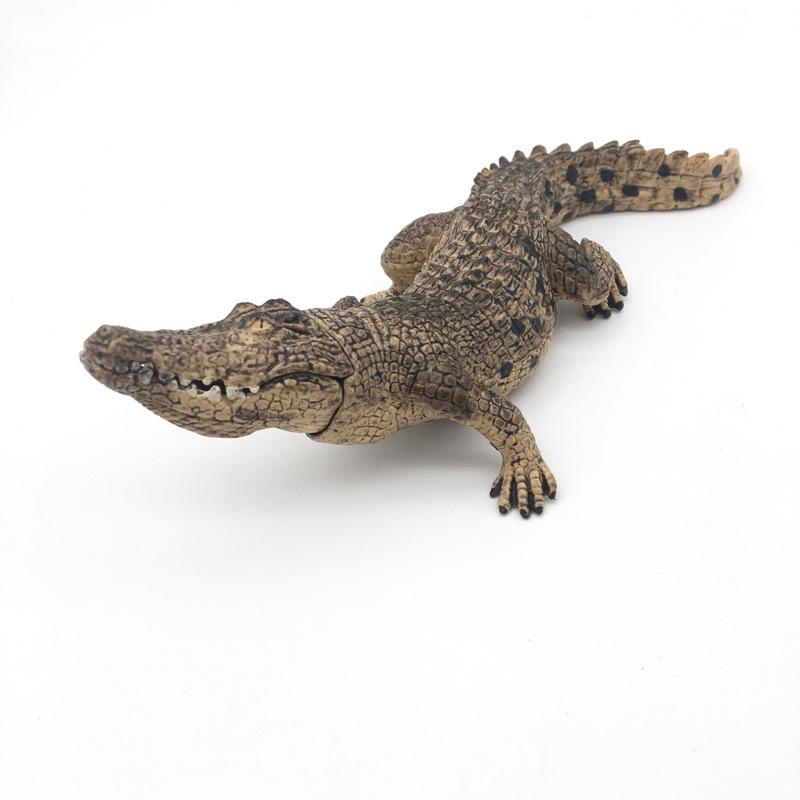 "Wildes Meerestier Simulationsmodell": Kinder Bildungs-Heimdeko-Spielzeug"