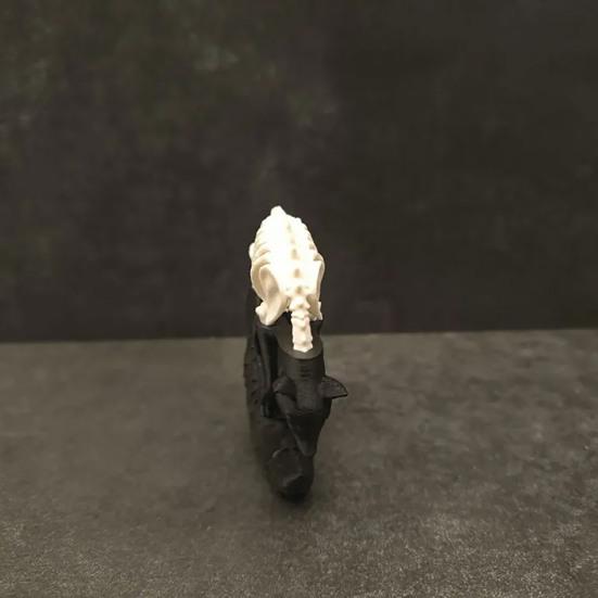 3D Printed Fox Ornament Half Skeleton Half Flesh Curled-up Fox Figurine Artistic Fox Statue Collectible for Table Shelf Decoration