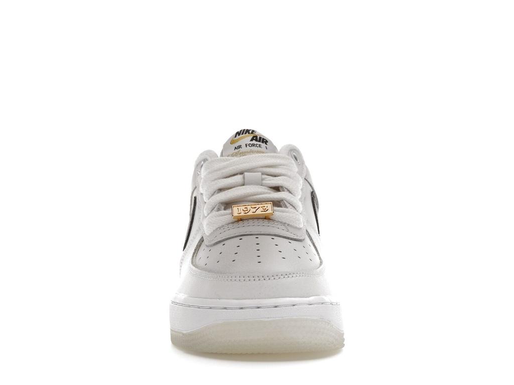 Nike Air Force 1 '07 Low Bronx Origins - DX2309-100