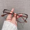 Butterfly Shape Eyeglass Frame Vintage Stylish Blue Light Blocking Men's Frame Glasses European American Female Glass