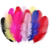 Vivid Artificial Feathers for Crafts Jewelry Design Durable Multi-Colored Feathers for Art Projects Decorations Hats Accessories