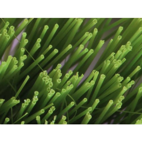 Seiei Bathroom Cleaning Brush, White, 10cm Long x 27cm Wide x 10cm High, Brush Craftsman Series, Bathtub Brush