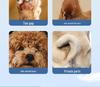 Pet Paw Shaver: Electric Cat & Dog Lighted Hair Trimmer