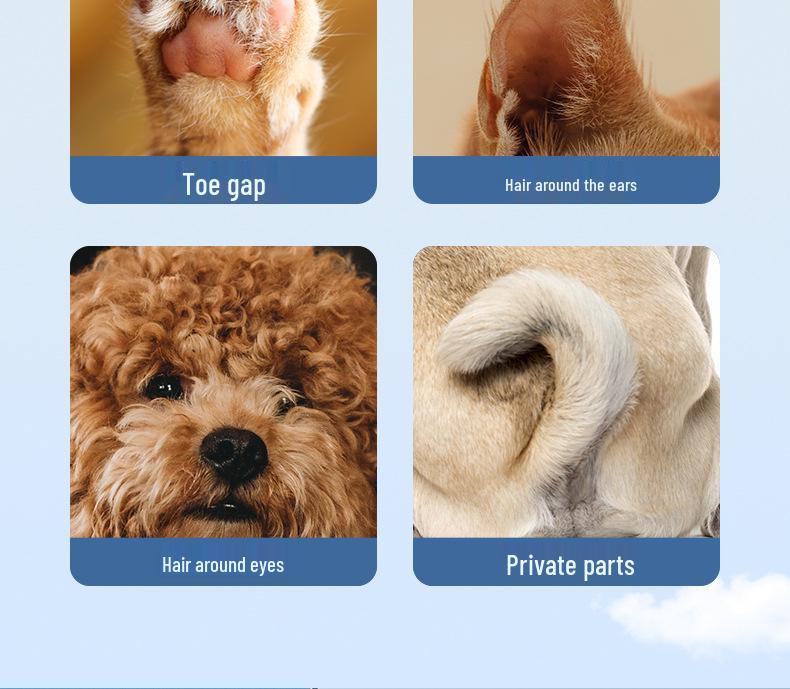 Pet Paw Shaver: Electric Cat & Dog Lighted Hair Trimmer
