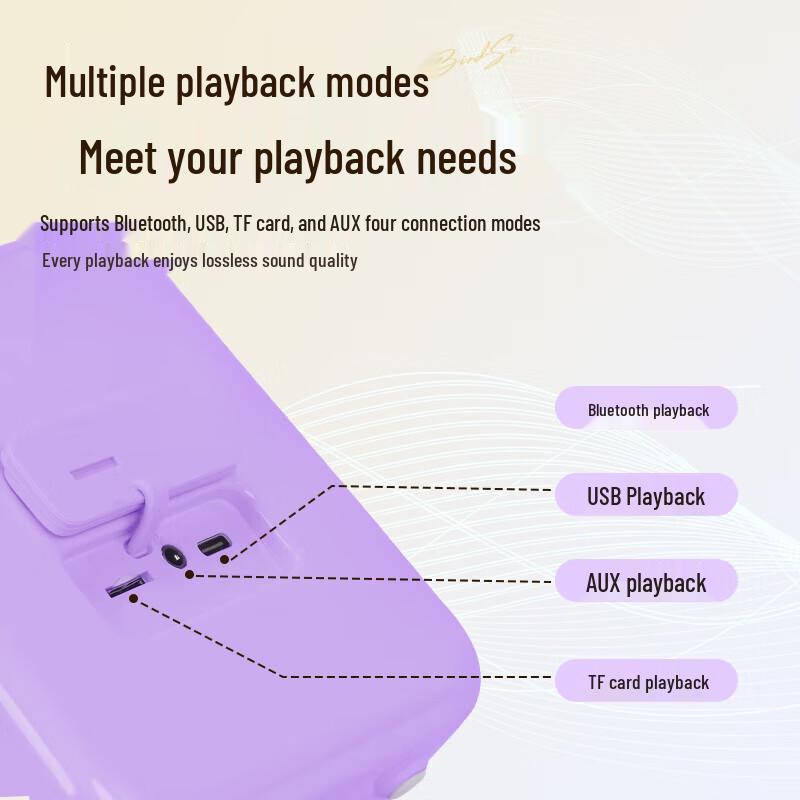 Divoom SongBird-SE Portable Karaoke Bluetooth Speaker Set CN Plug (adapter Included)