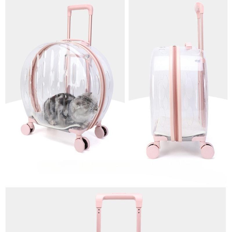 Valise transparente pour animaux de compagnie, grande capacité, valise de voyage pour chien, boîte à bulles Portable d'extérieur, boîte d'aviation 
