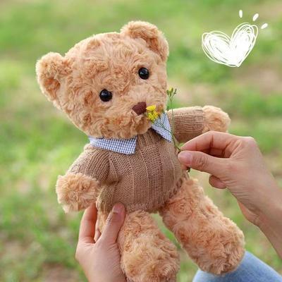 Camicia Orso Orsacchiotto Peluche Bambola Bambola Abbraccio Regalo San Valentino Celebrità di Internet Orso Bouquet Regalo di Vacanza