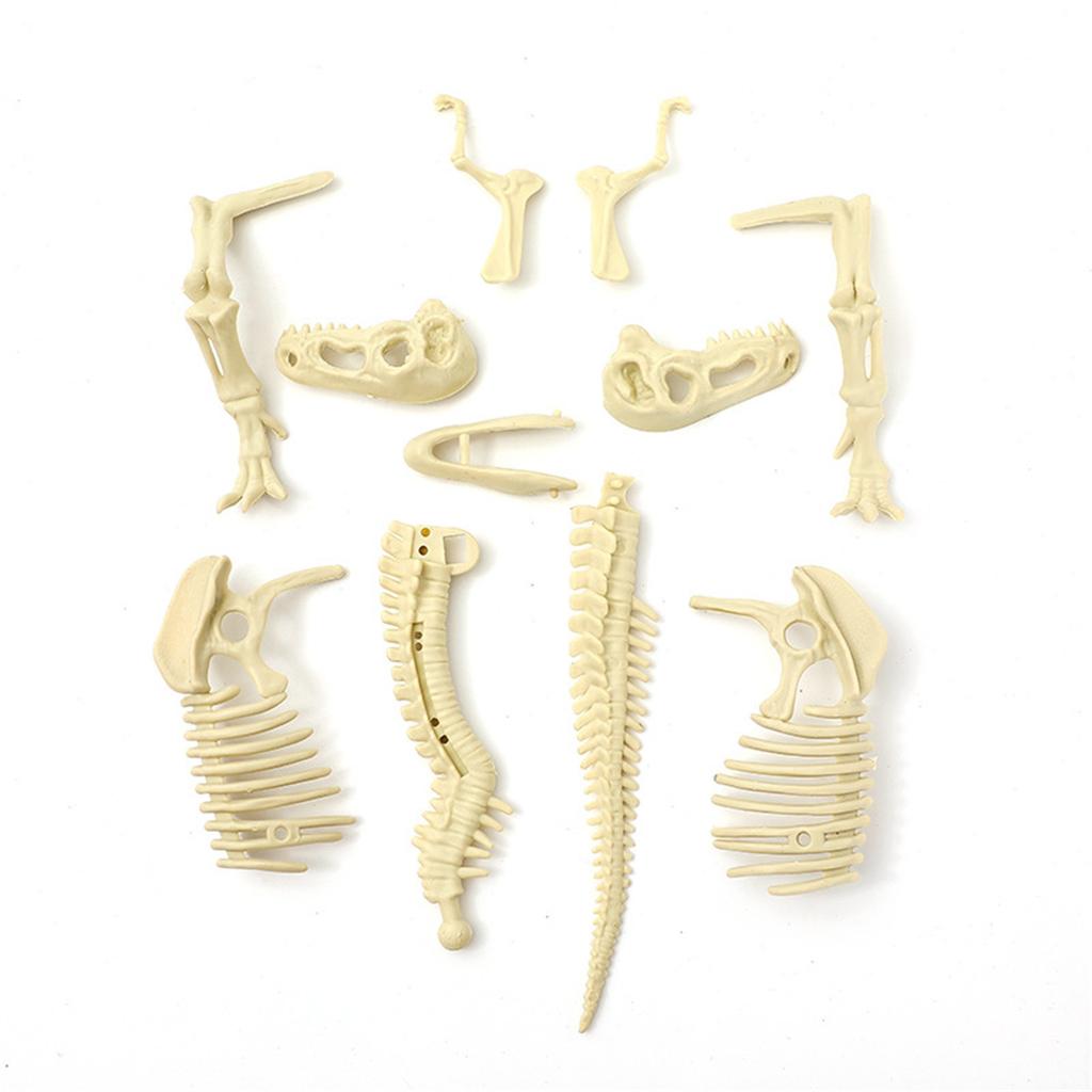 Dinosaur Skeleton DIY Toys Educational Puzzles Model Set For Kids Over 6 Years Old
