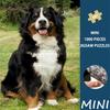 1000pcs Mini Jigsaw Puzzle: Bernese Mountain Dog - Cute and Adorable Pet Animal, Stress-Relieving, Educational, Fun, Creative Home Decor, Family Inter