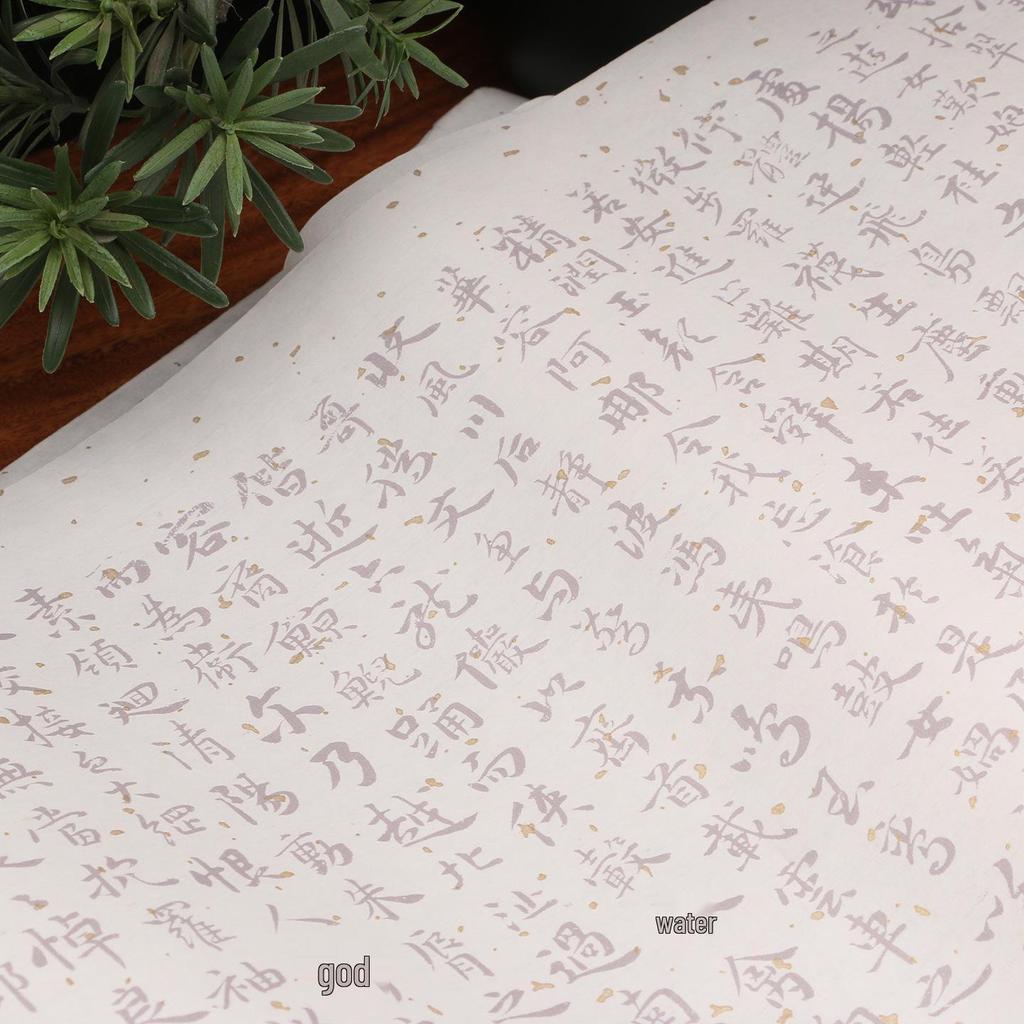Guide de Calligraphie 'Ode à la Déesse de la Rivière Luo' de Zhu Yunming: Carnet d'écriture en écriture courante rouge pour débutants - Grand rouleau