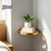 Modern Gold Metal Display Shelf Floating Wall with LED Light Rack Warm Ambient Light for Plants Book Space Saving Mounted Decor Hidden Bracket Sleek