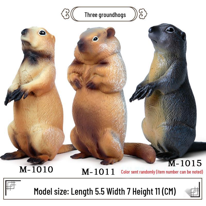 Realistic Wild Animal Models: Rhino, Hippo, Panda, Jaguar, Lion, Camel Cognitive Toys for Children