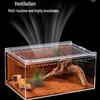 Acrylic Terrarium for Reptiles and Insects