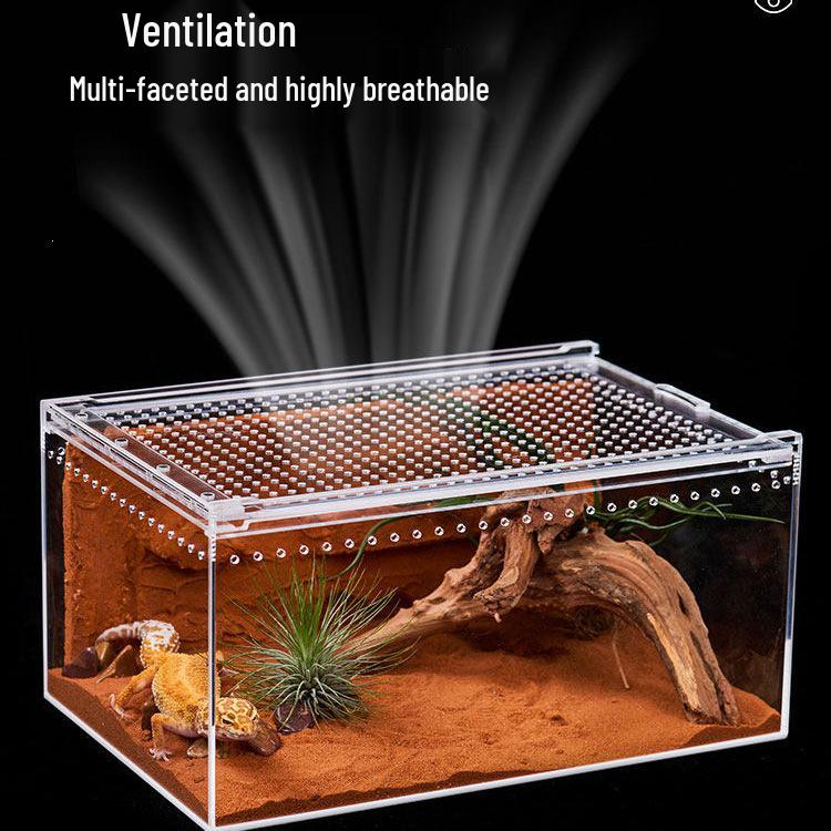 Acrylic Terrarium for Reptiles and Insects
