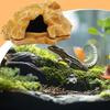 Lizard House Terrarium Resin Fake Rock Bearded Dragon Cave Landscape Basking Area Aquarium Decor Reptile Hiding Caves