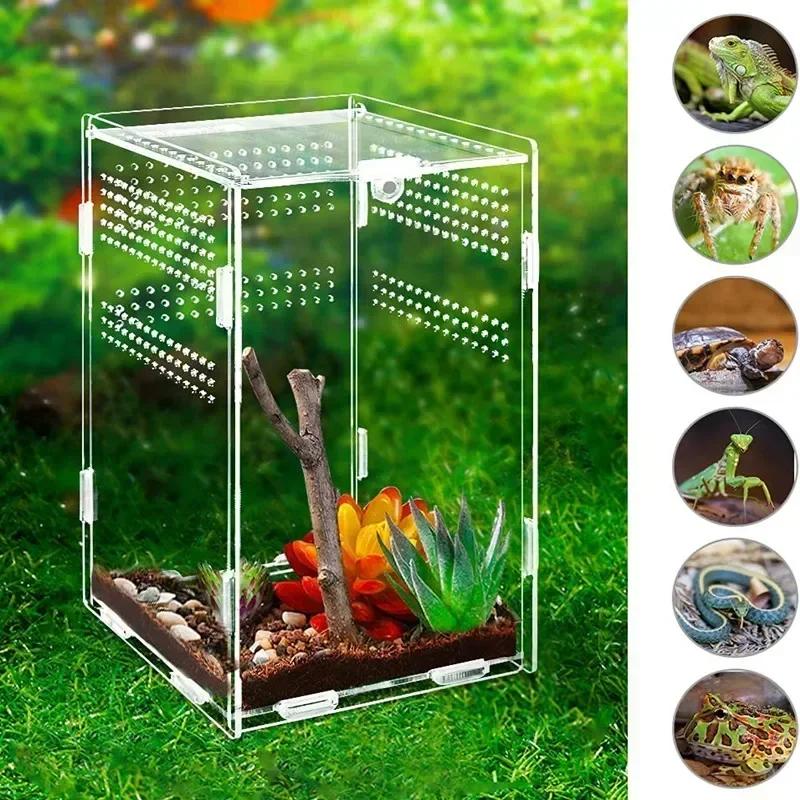 Acryl Reptilien Zuchtbox Transparentes Terrarium Habitat Insekt Spinne Eidechse Skorpion Futterkäfig Baumbewohnendes Gehege