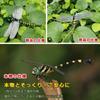 Solaay Oniyanma Dragonfly a Natural Enemy of Insects and a Repellent for 12cm Insect Repellent Model for Insect Easy To Ideal for Home and Model,