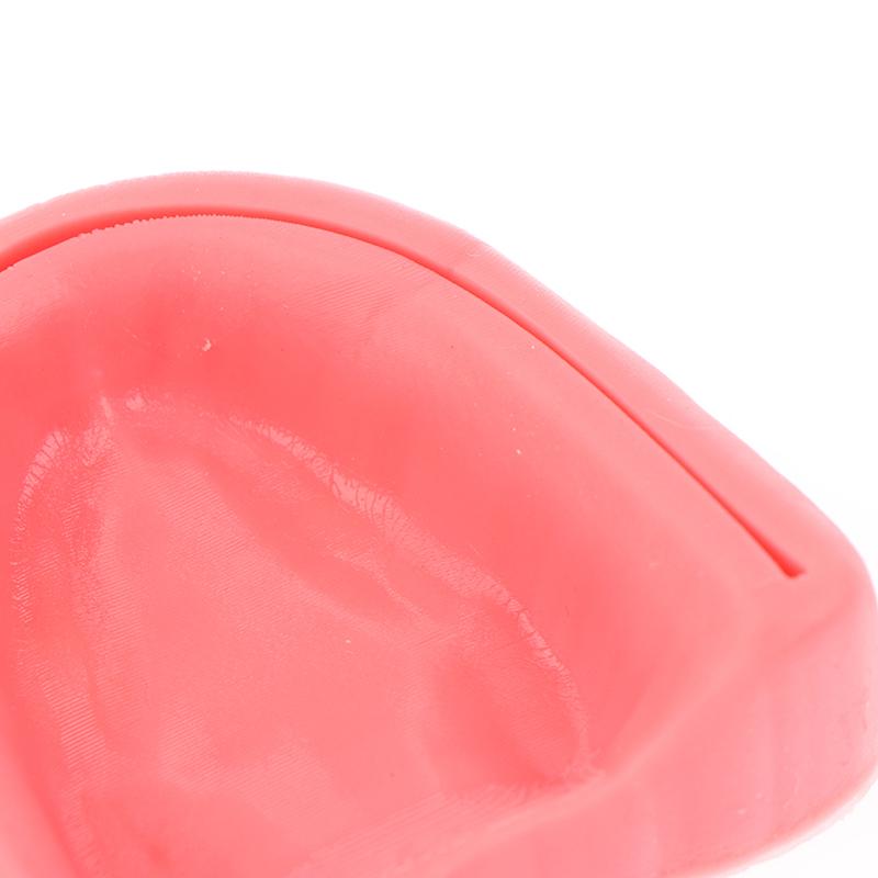 Teeth Gum Combination Model Silicone Material Training Suture Module