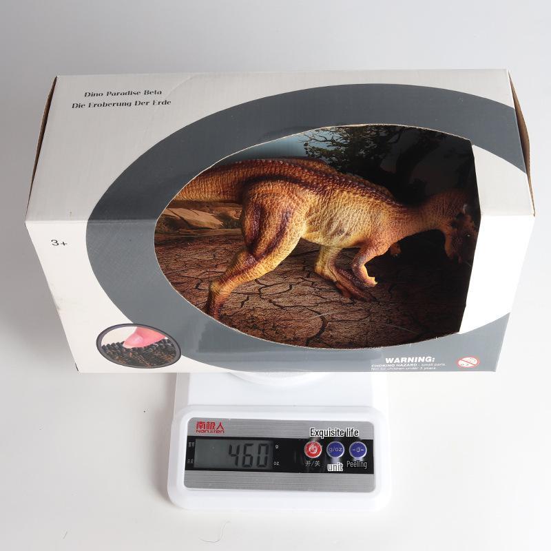 Kids' Jurassic Dinosaur Toy Model: Pachycephalosaurus, Stygimoloch & T-Rex.