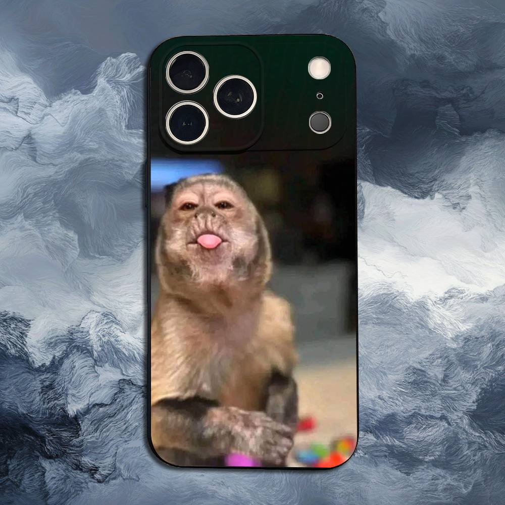 

Cute Funny Monkey For iPhone 12,14,13,15,8,7,16,11,17,X,Mini,Plus,Pro,XR,SE,XS,Max,Soft Silicone Black Case iPhone15PROMAX
