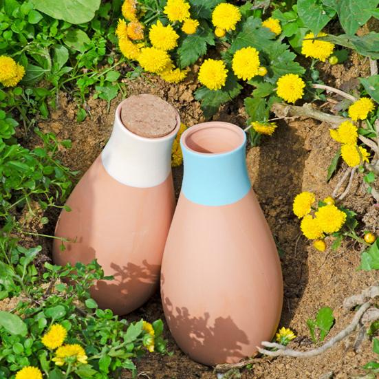 4Pcs Plant Watering Globes Self-Watering Spikes Automatic Watering Pots Plant Watering System Slow Release Watering Spikes