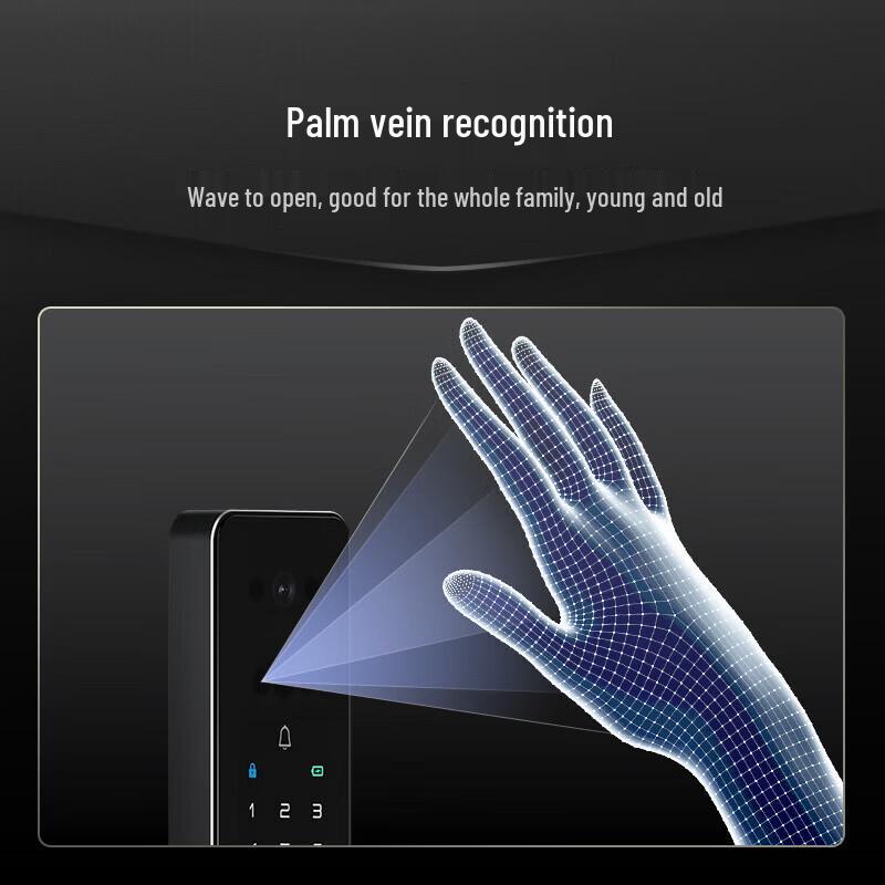 DESMAN Q2FV Smart Door Lock with 3D Face & Palm Vein Recognition