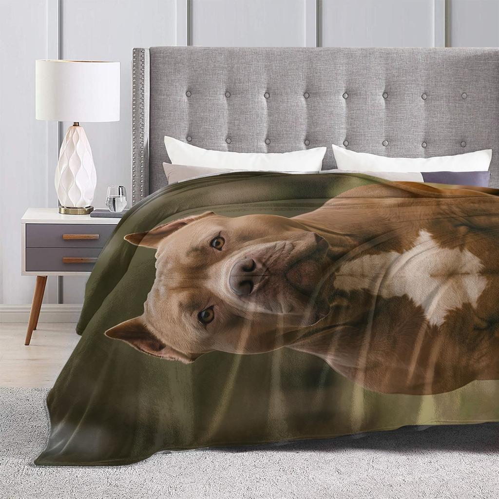 Cane Corso Warm Soft Blanket  Camping Plush Throw Blanket Aesthetic Couch Chair Flannel Bedspread Sofa Bed Cover