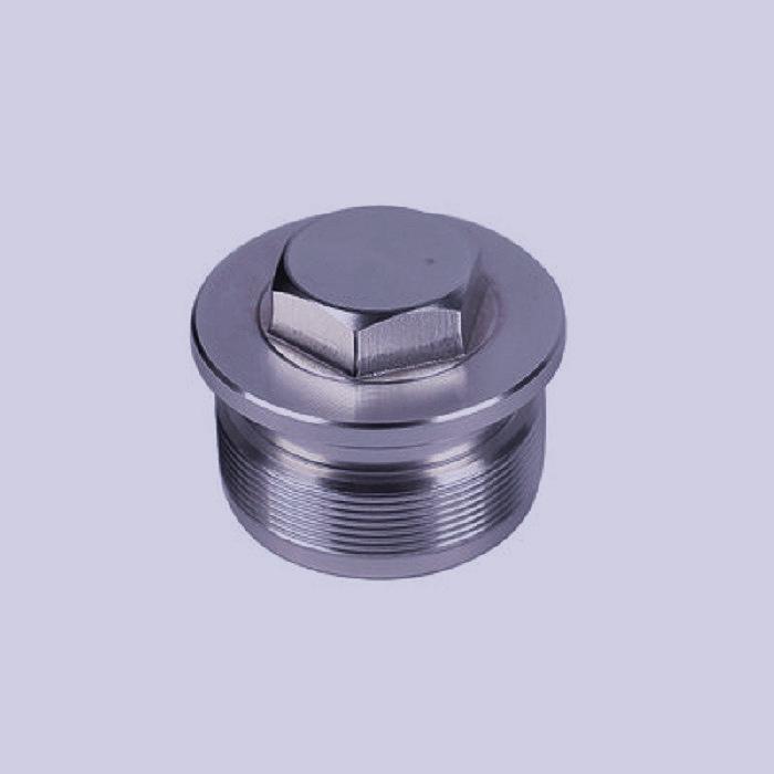 Front Shock Absorber Core for DL250-A Lichi and GSX250R-A, GW250-S-F Shock Absorber Tube, Front Fork Tube Screw