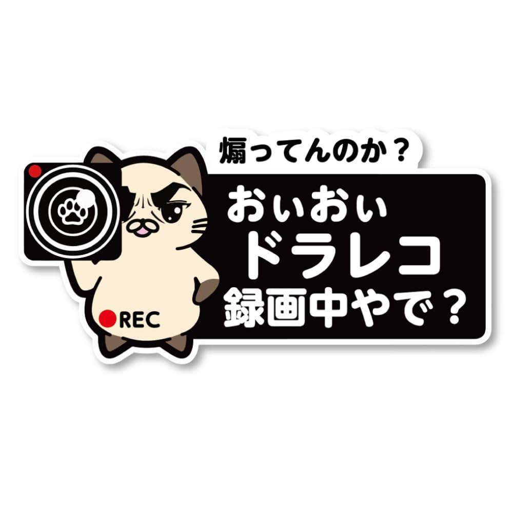 

SignStore Traffic safety sticker of a cat holding a camera Small (8 cm x 16 cm)