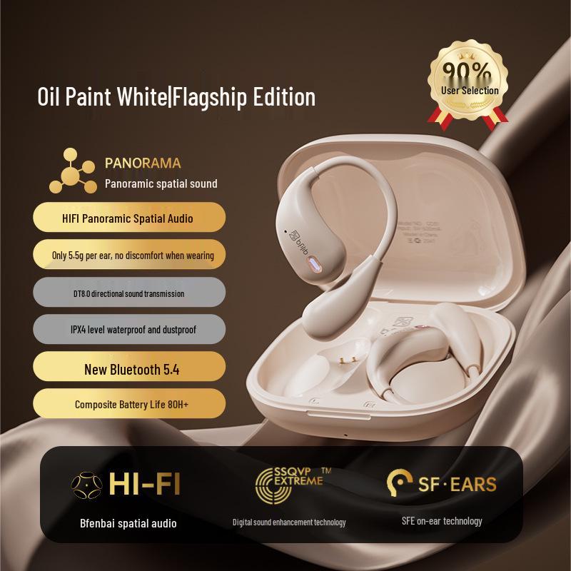 2025 SR10 Sports Bluetooth Headset: Durable, High Performance, Long Battery Life.