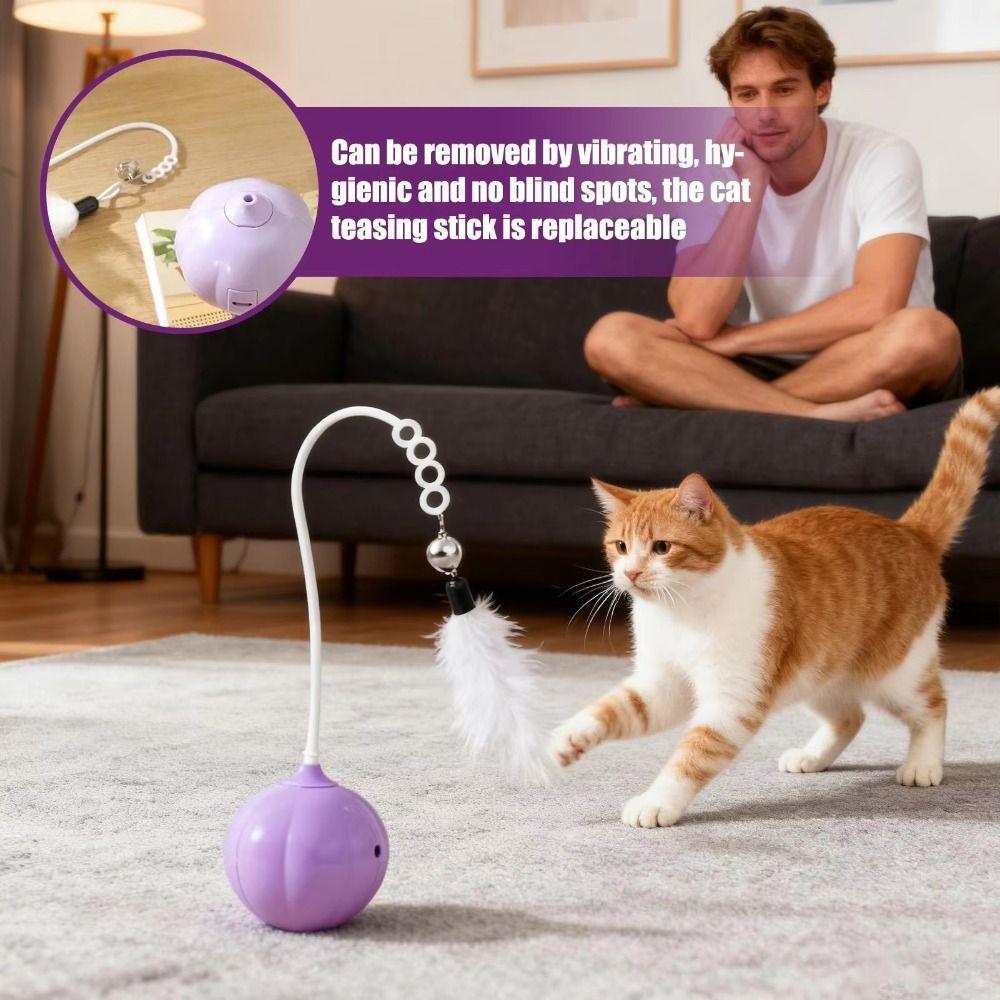 Creative Cat Tumbler Toy Onion Design Automatic Teasing Cat Toys  Pet Exercise