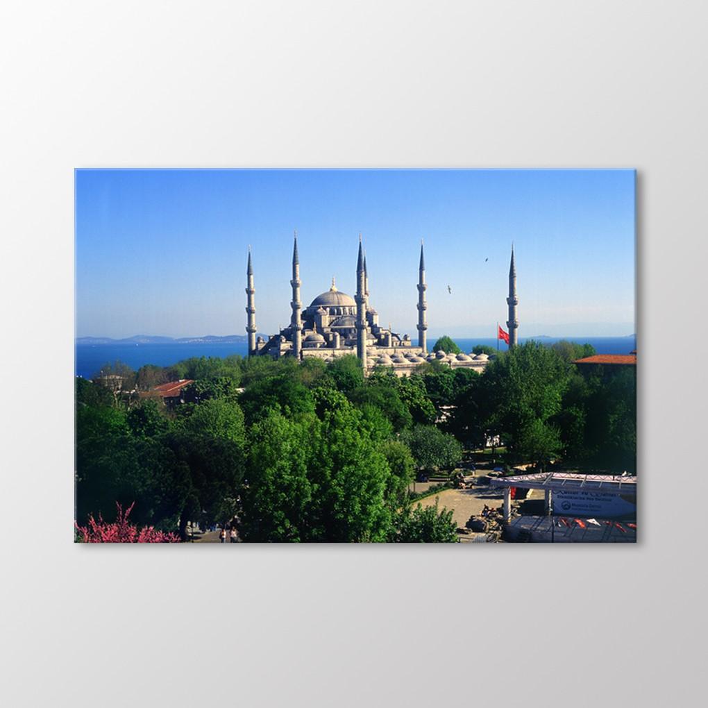 

Картина Голубая мечеть