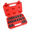 25-Piece Hex Shank Imperial Screw & Bolt Extractor Set