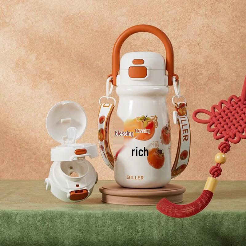 Diller Fushi Series D9485 Insulated Straw Tumbler