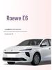 Roewe E6 Trunk Mat TPE Interior Accessory
