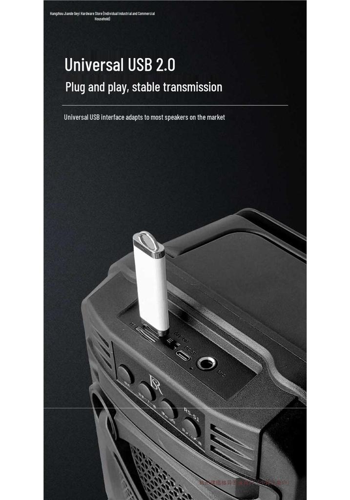 Voice Changer USB for Speaker and Sound System Loop Playback