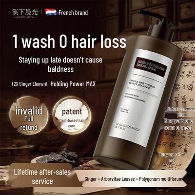 Xixia Chenguang Professional Hair Care Shampoo