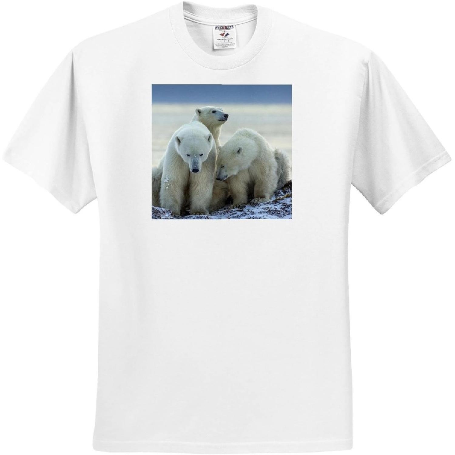 3dRose, Canada, Manitoba, Churchill. Hudson Bay Polar Bear Mother and Cubs XXXXXL белый