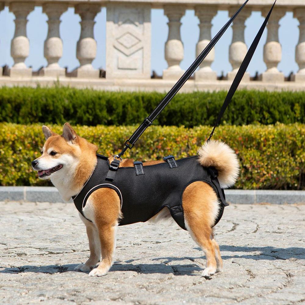 Useful Disabled Elderly Dog Exercise Assist Belt Walking Pet Rehabilitation Suit for Dogs Mascotas Auxiliary Clothing Clothes