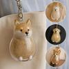 Dog Shape Dog Hair Storage Box  Transparent Pet Hair Keychain DIY Handmade Acrylic Puppy Pendants Pet Lovers