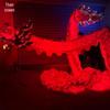 Zeyao Chinese New Year Dragon Dance Prop
