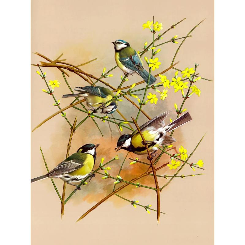 Canvas paintings, animals, birds, home decor, gift craftsmanship, living room, bedroom, wall decoration