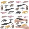 Crocodile South Dolphin American Animal Model Set Home Decor And Toy Teaching