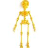 3D Printed Skeleton Refrigerator Magnet Halloween Poseable Skeleton Figurine with Movable Joints