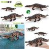 Sarcosuchus Ancient Amphibian Model For Kids Learning Pvc Figurine