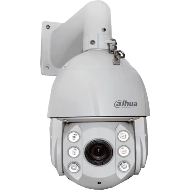 

Dahua Outdoor 2MP Starlight PTZ Dome Camera